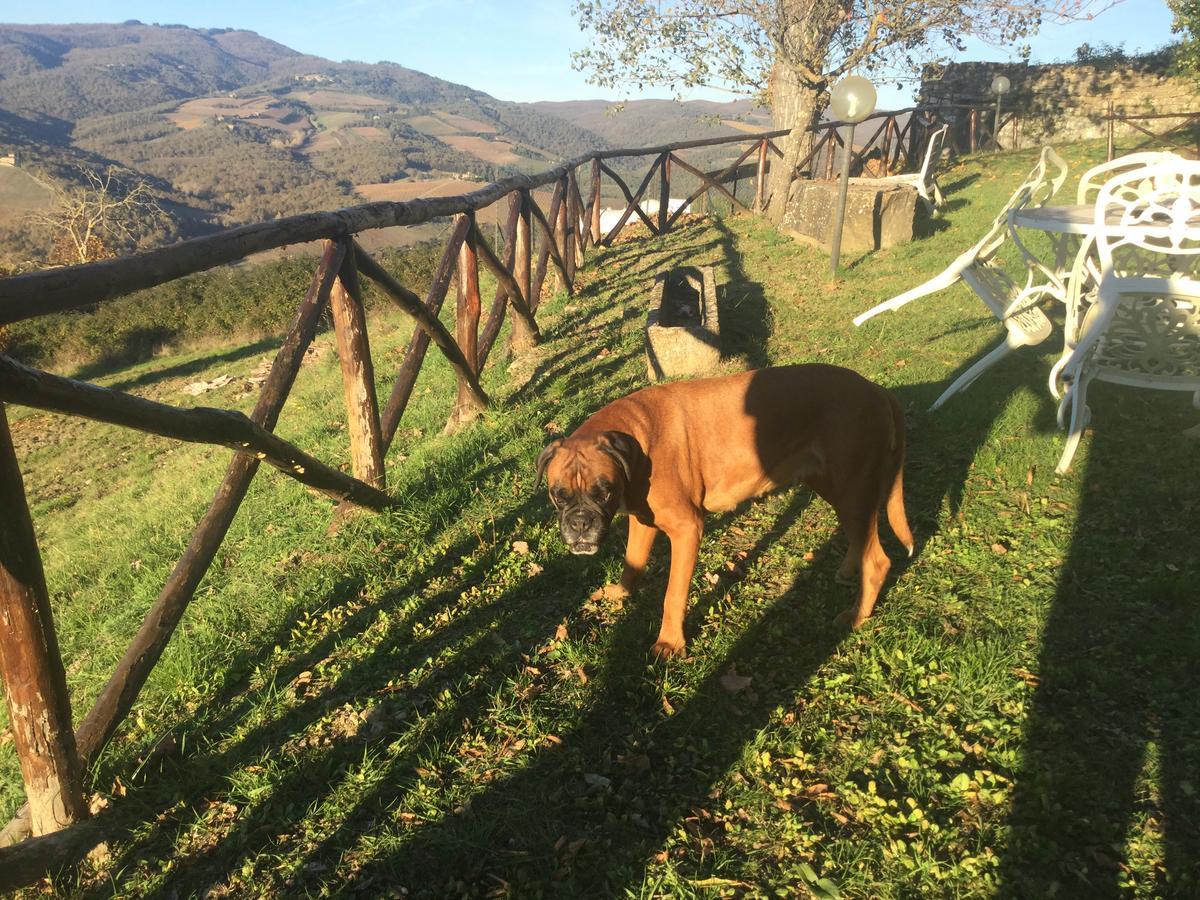 Camere E Appartamenti Baldini Romanita Radda in Chianti Exterior foto